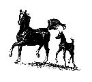 more_on_EPM2.rtf